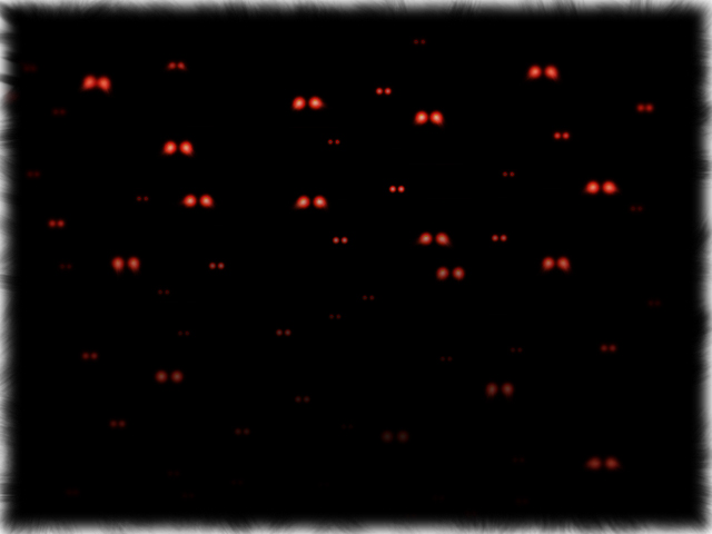 Glowing bat eyes watching