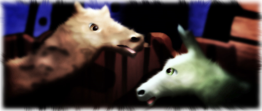 Camel and donkey stand together