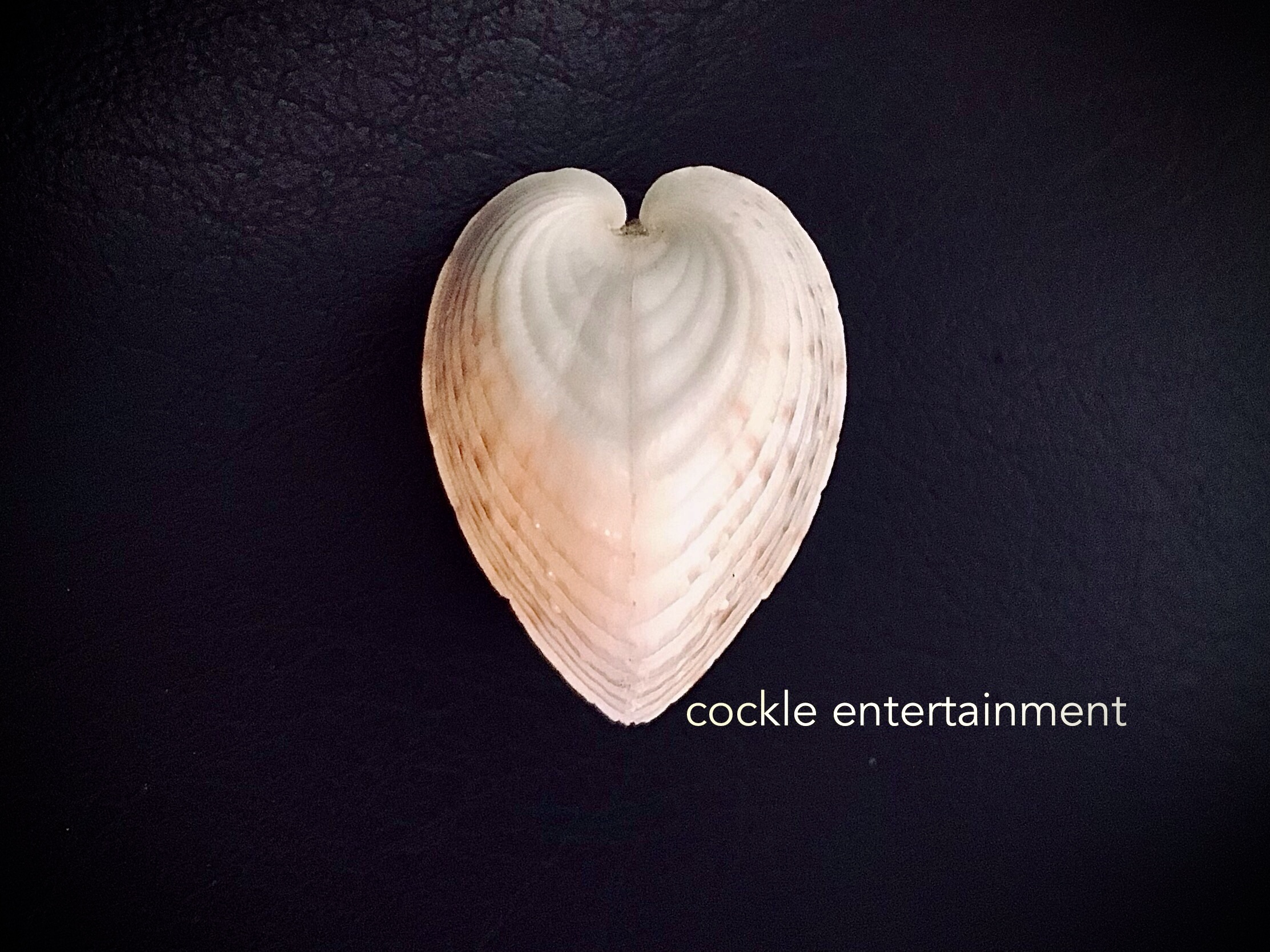 Family Entertainment Studio