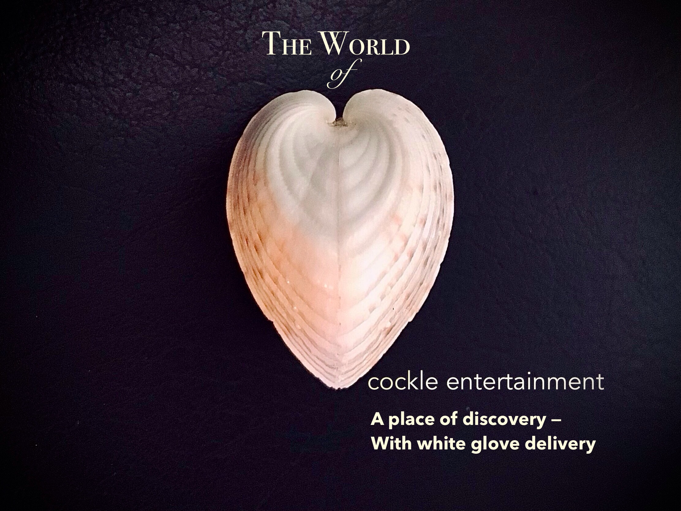 Entertainment studio focused on the brand development of mesmerizing kids' and family properties