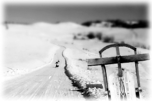 Sledding on the country road - Molson, WA