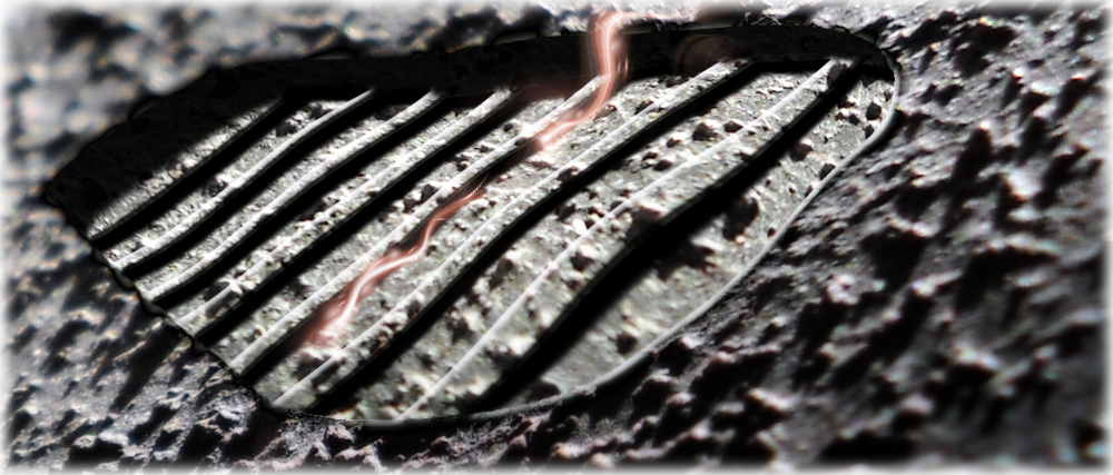 We landed on the moon