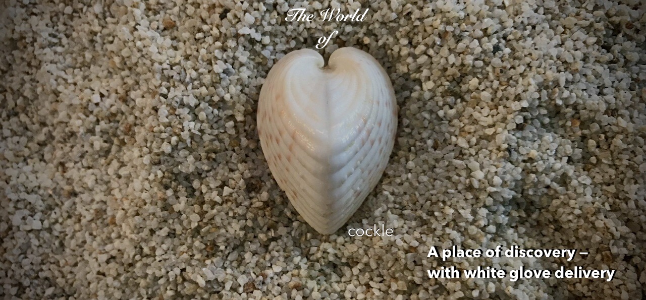 Entertainment studio focused on the brand development of mesmerizing kids' and family properties