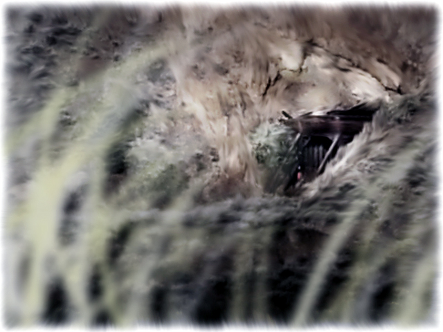 Gold mine shaft entrance