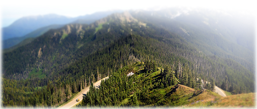 Driving up a mountain road