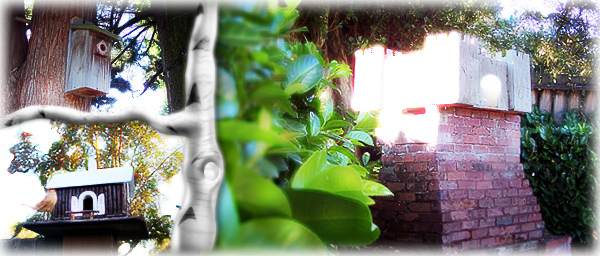 Views of three different kinds of bird houses