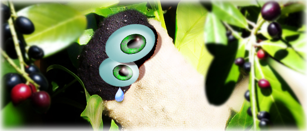 Close-up of sad face