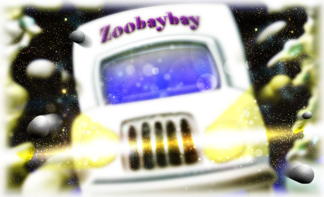 Zoobaybay truck crashes through wall